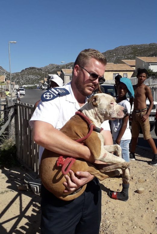 As the largest and oldest animal protection organisation we are the leaders in law enforcement relating to animal cruelty, abuse and neglect.