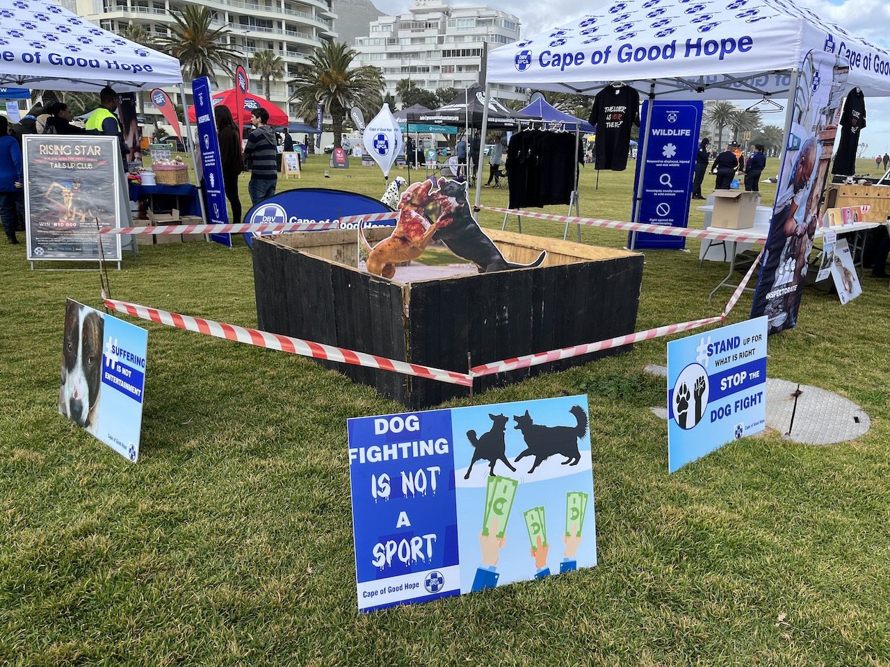 Cape of Good Hope SPCA - Dog Fighting is a Crime 2022 Paws-A-While Dog fighting ring
