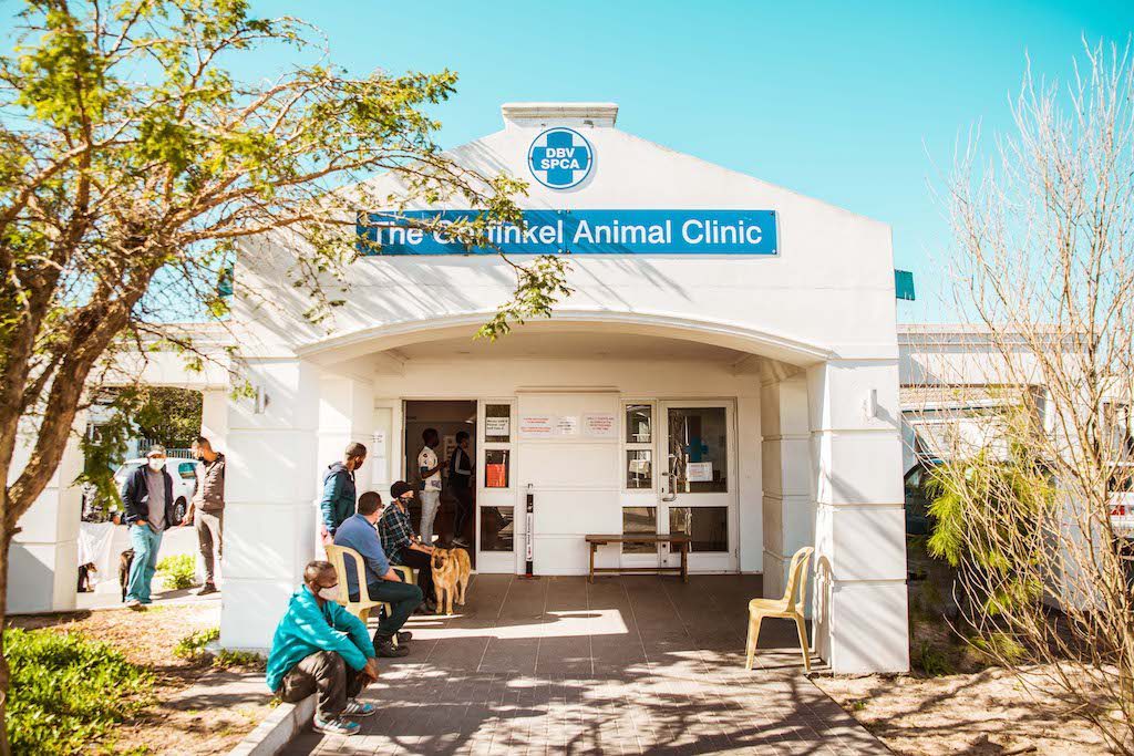 Hospital SPCA 1 By BRIGFORD -103